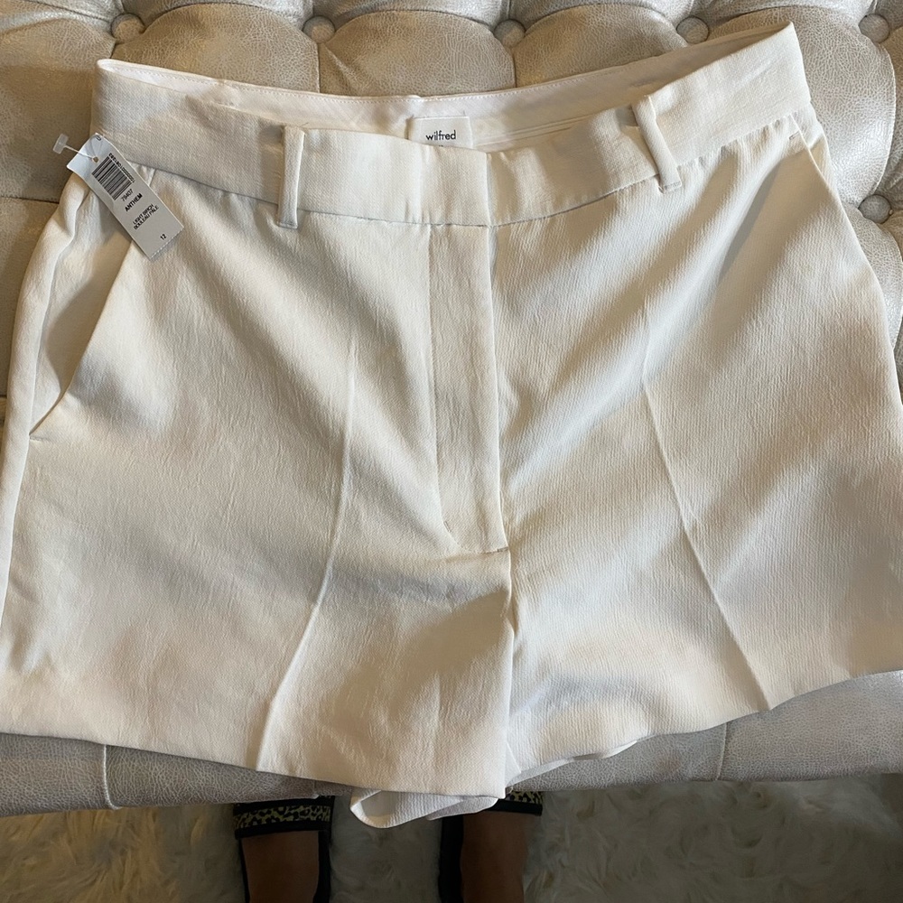 NWT aritzia anthem shorts
